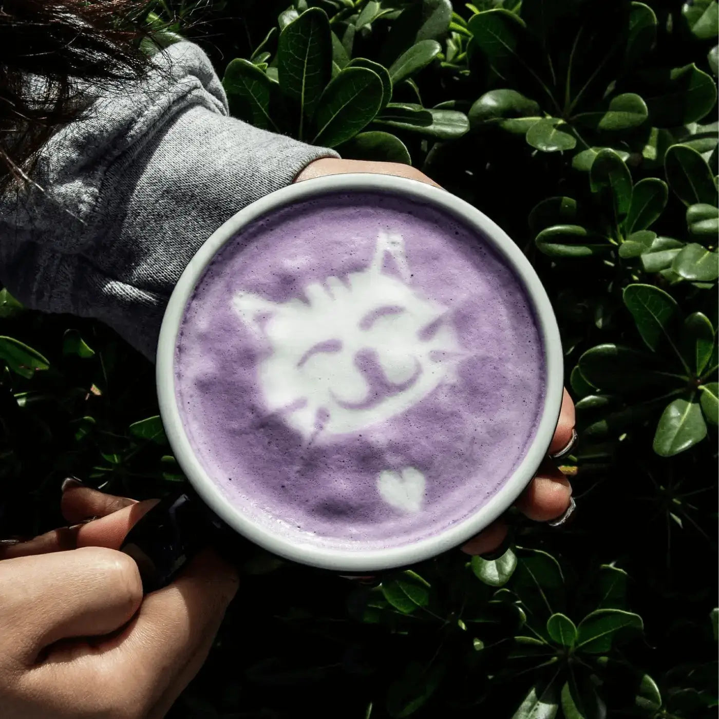 Taro Latte Mix  | Tavalon Tea Australia